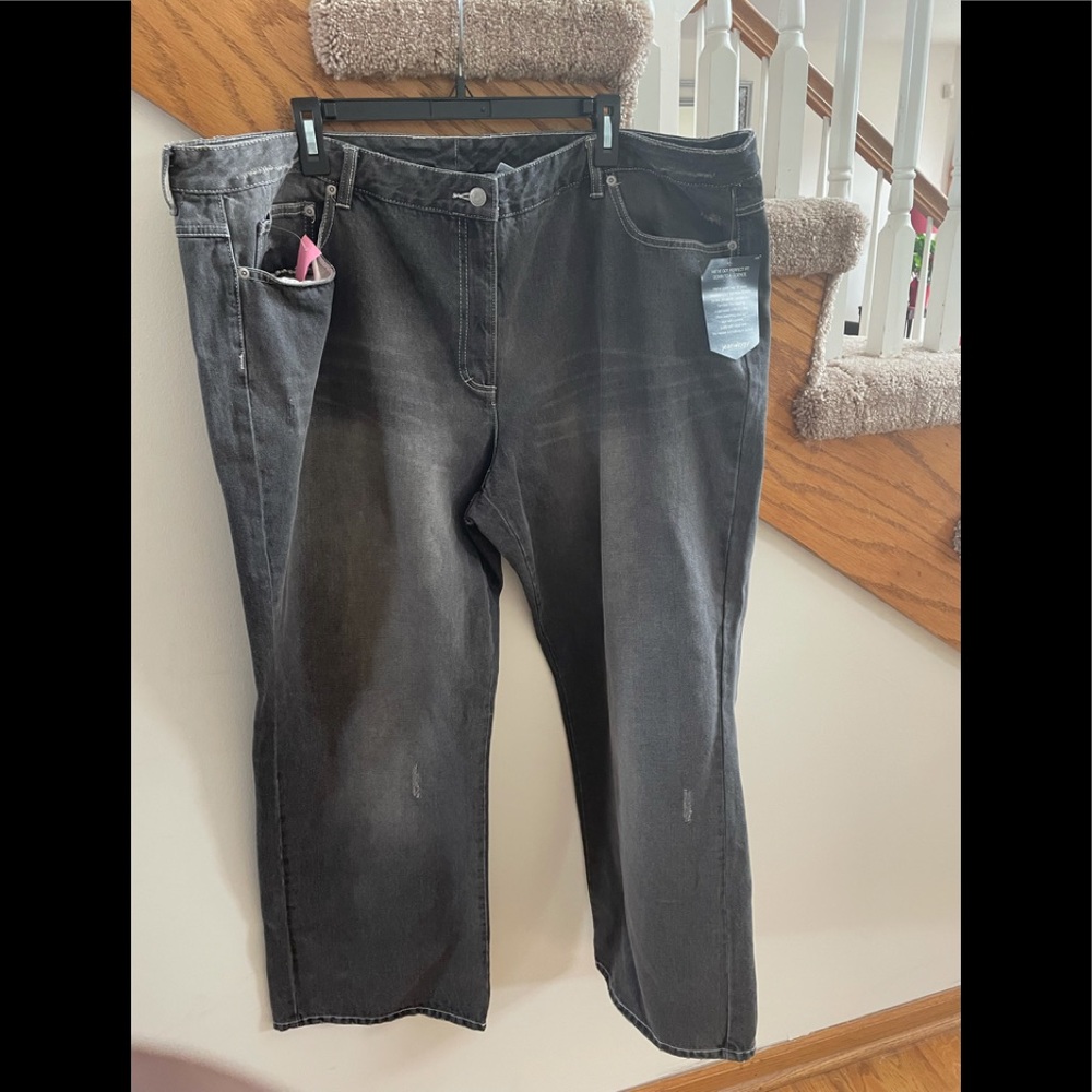 New Plus-Size Jeans  (24W)